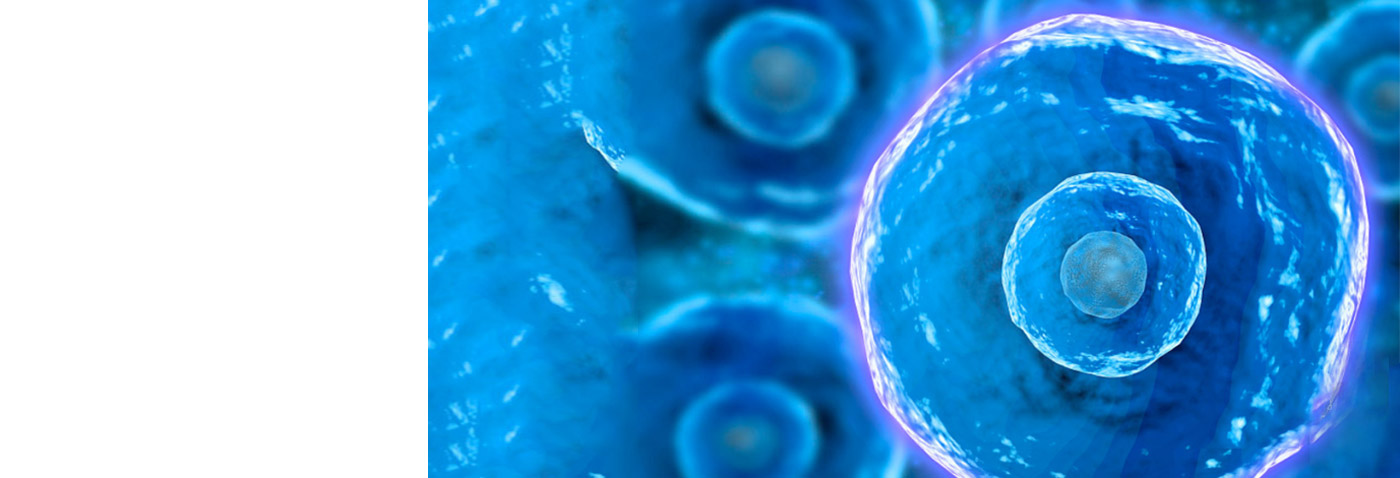 AG真人国际(中国) - 官方网站