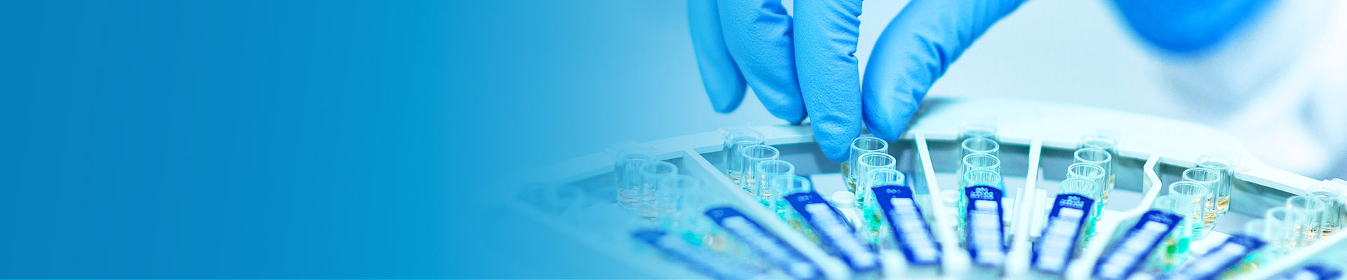 AG真人国际(中国) - 官方网站